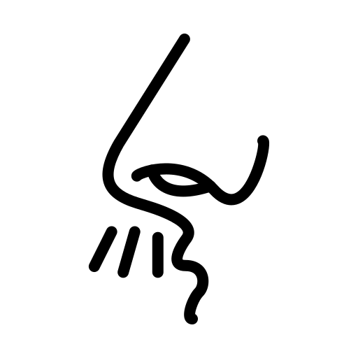 olfacto 3
